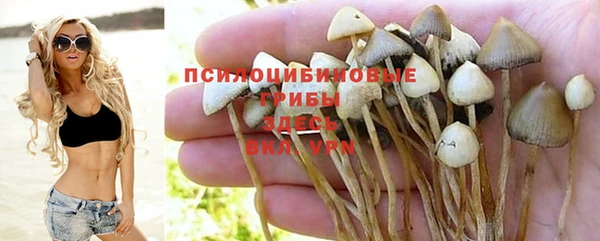 PSILOCYBIN Дмитровск